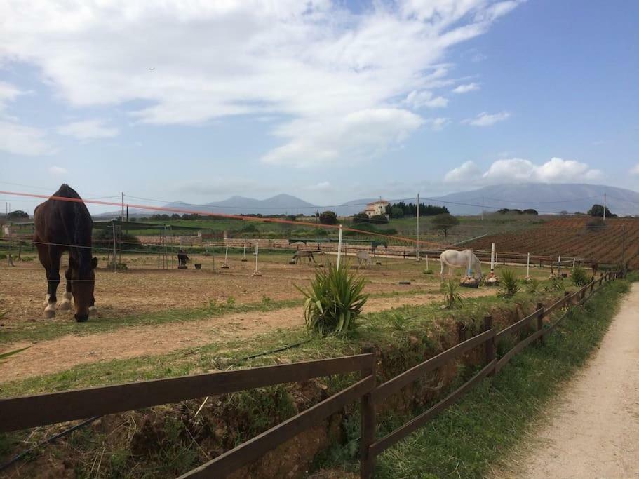 Country Near Athens - Airport