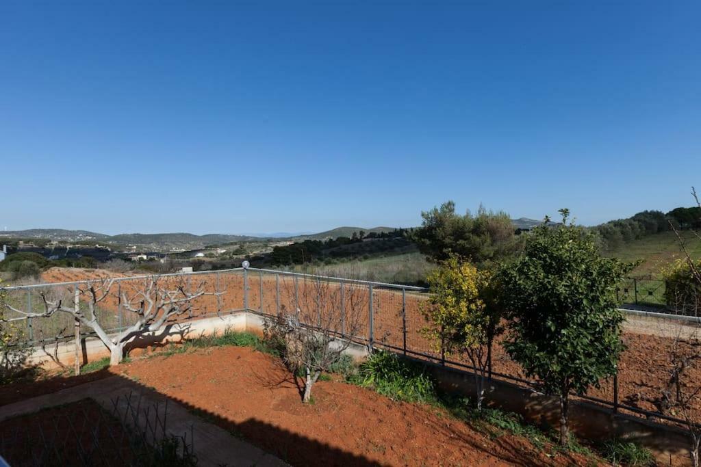 Country Near Athens - Airport Villa *
