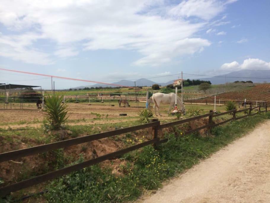 Country Near Athens - Airport Villa Brauron