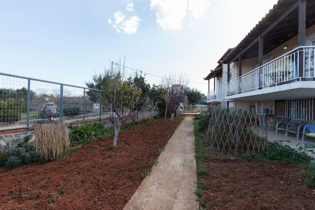 Country Near Athens - Airport Villa *