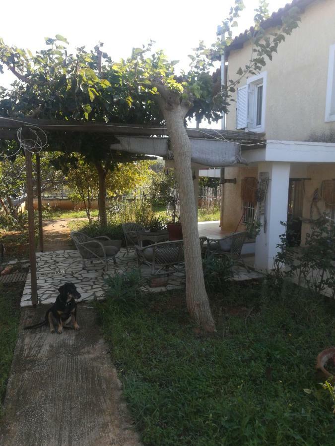 Country Near Athens - Airport * Brauron