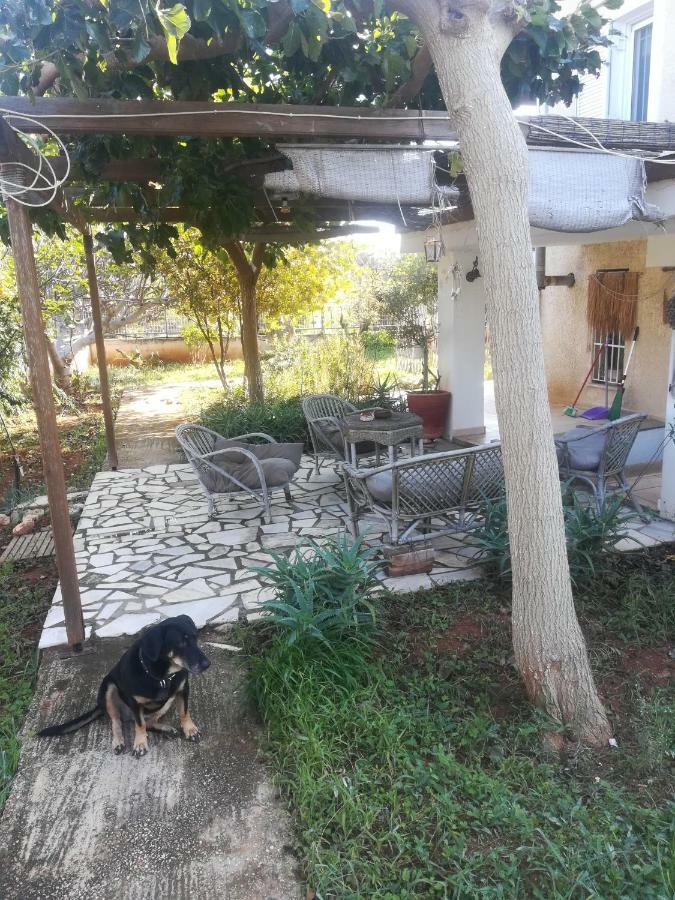 Country Near Athens - Airport * Brauron