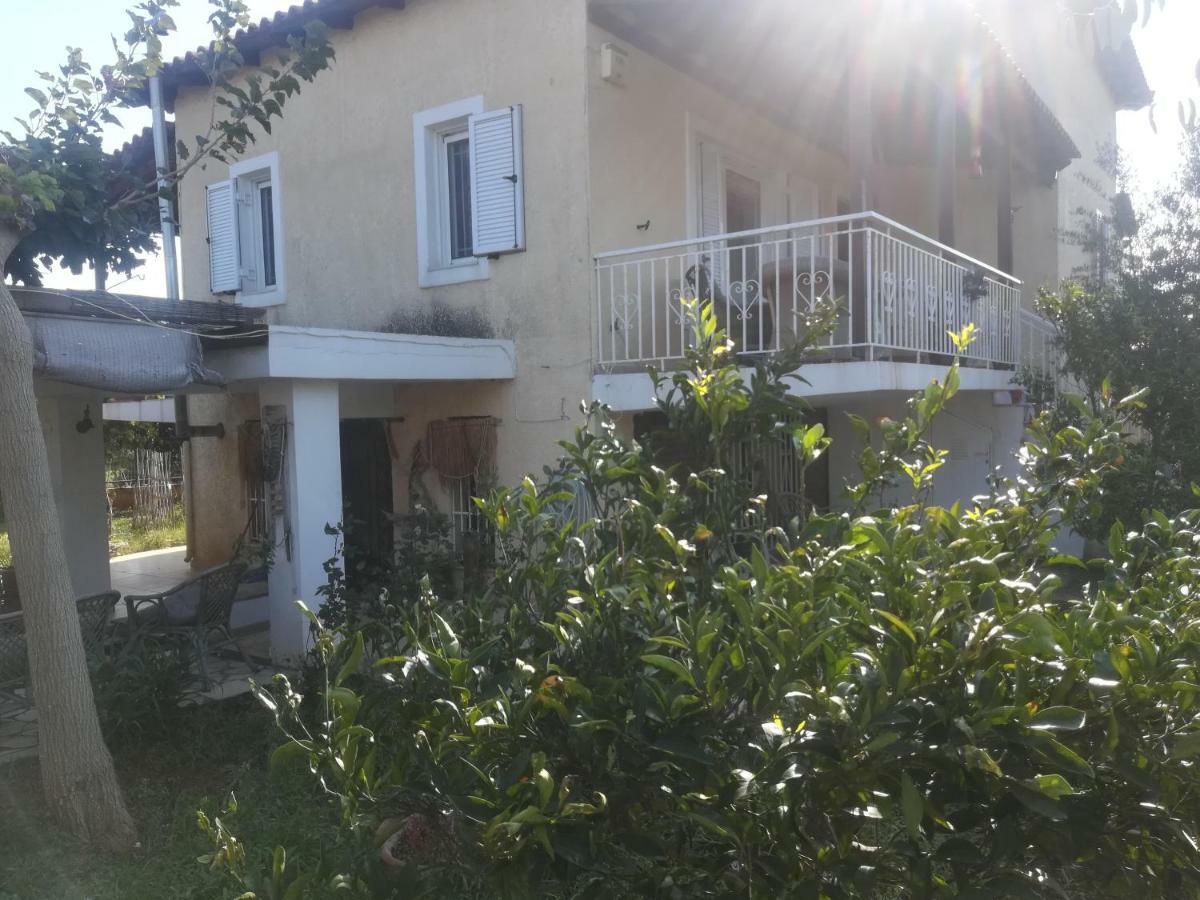 Country Near Athens - Airport Villa